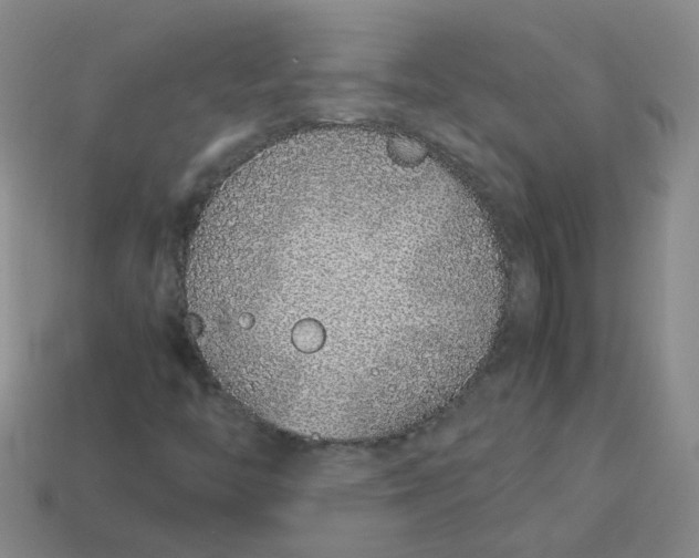 X0000113331446200910051136