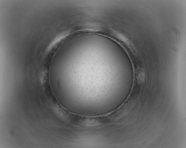 X0000113331448200910051136