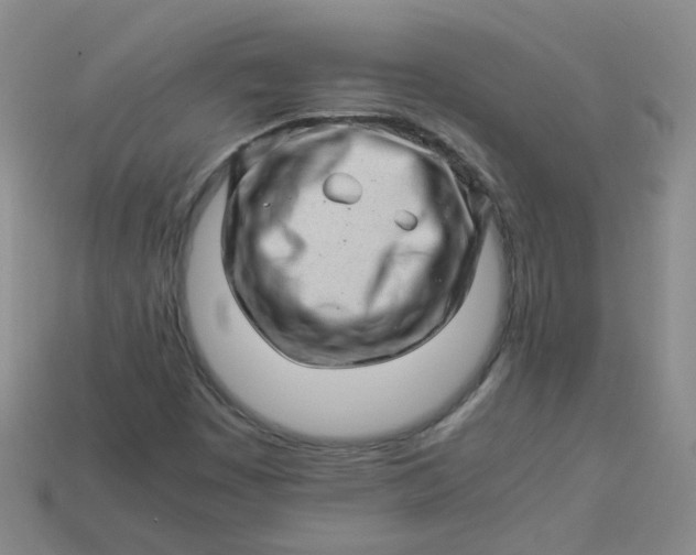 X0000113331449200910051136