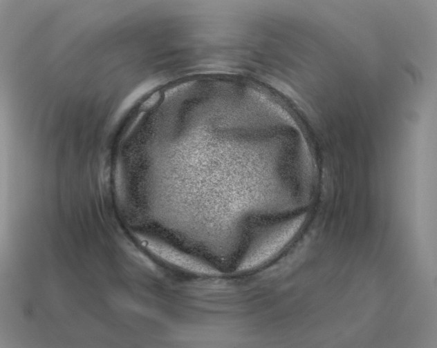 X0000113331450200910051136