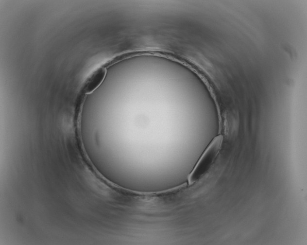 X0000113331452200910051136