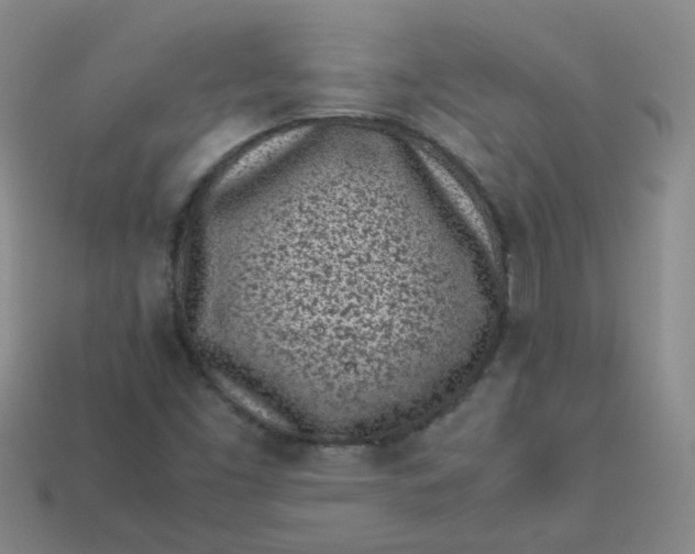 X0000113331453200910051136