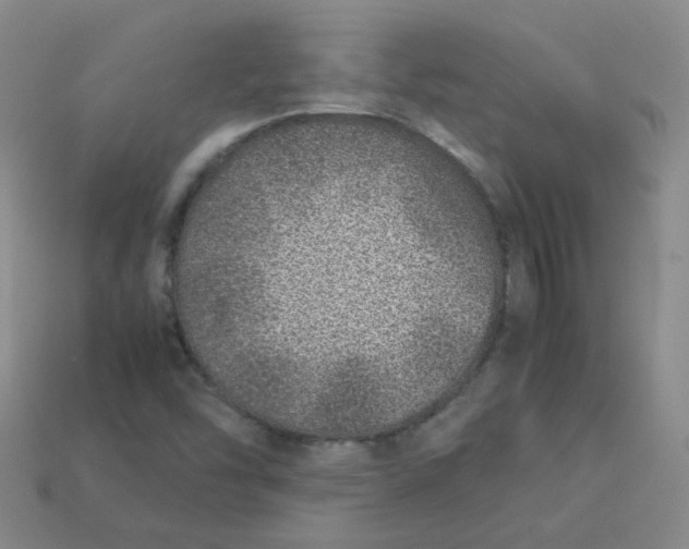 X0000113331454200910051136
