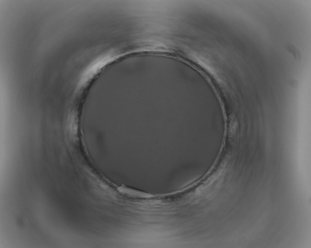 X0000113331455200910051136