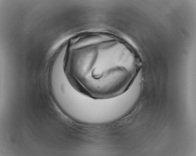 X0000113331456200910051136