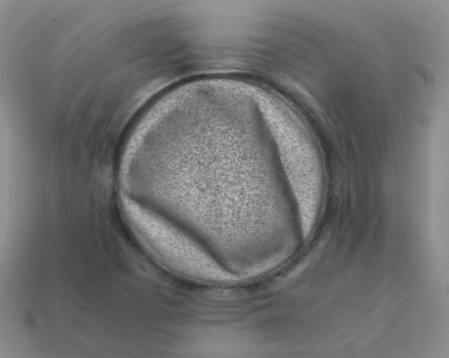 X0000113331457200910051136