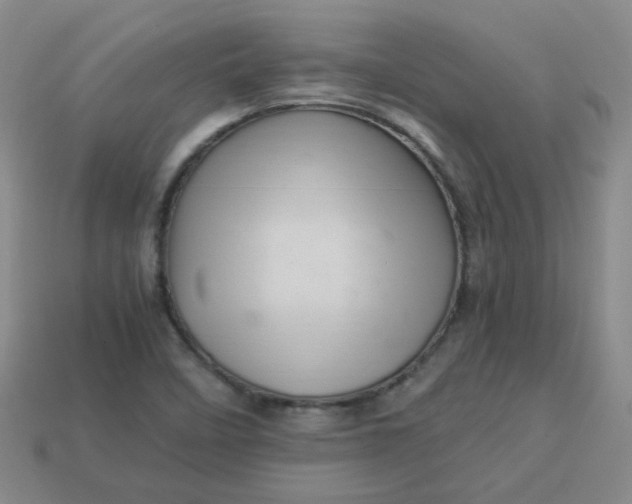 X0000113331458200910051136