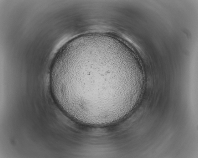 X0000113331459200910051136