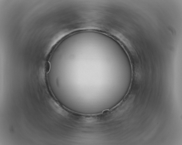 X0000113331460200910051136