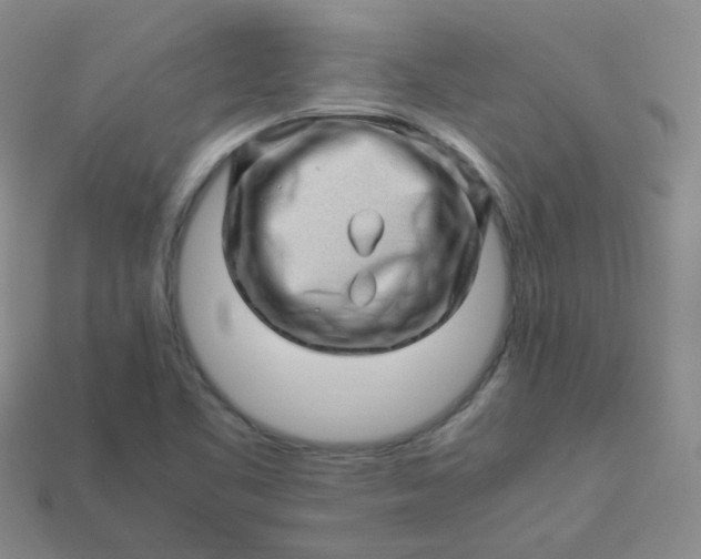X0000113331461200910051136