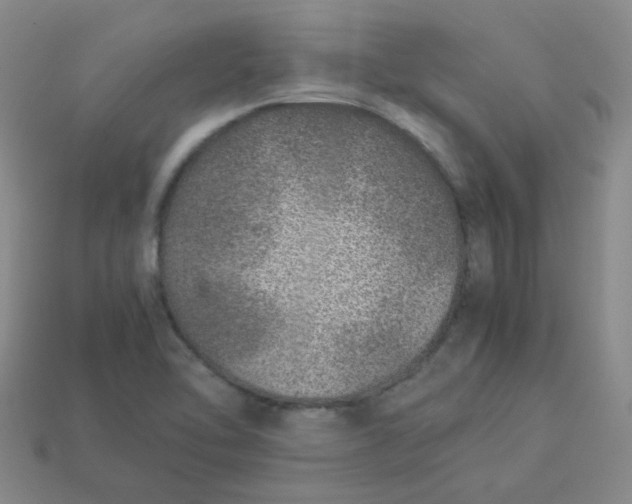 X0000113331462200910051136