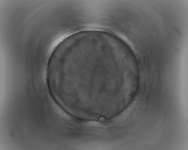 X0000113331463200910051136