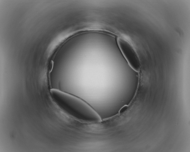 X0000113331464200910051136