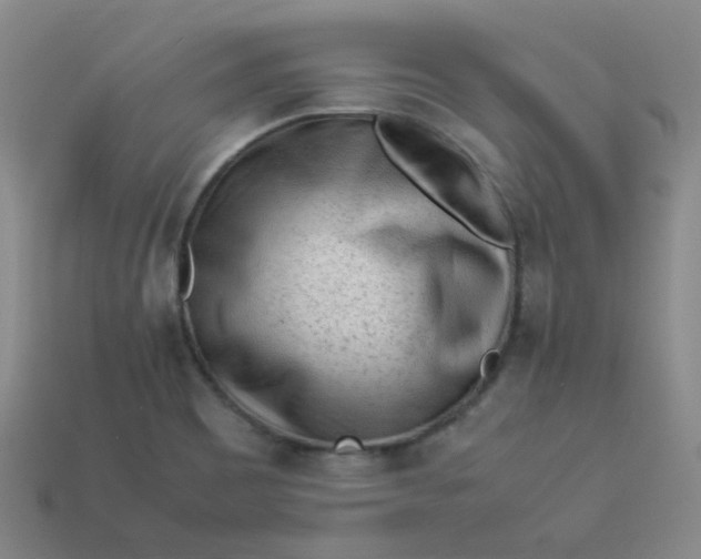 X0000113331465200910051136