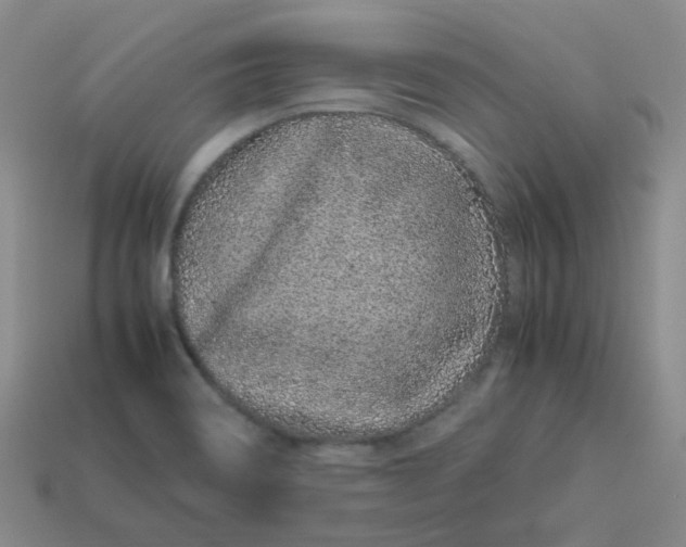 X0000113331466200910051136