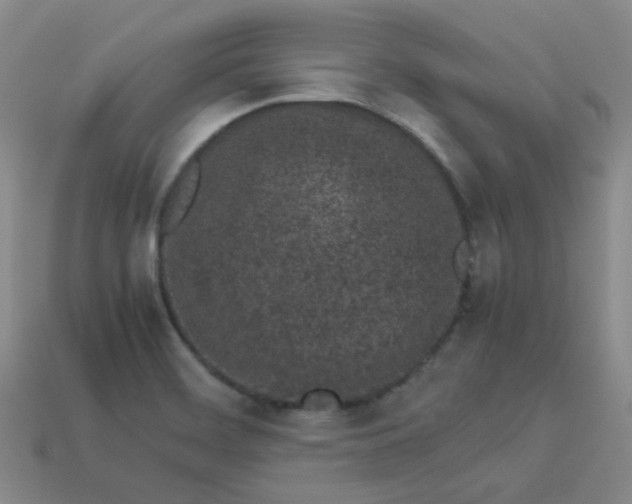 X0000113331468200910051136
