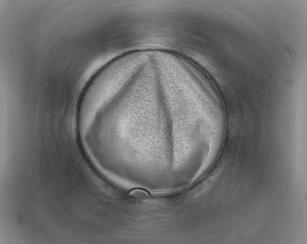 X0000113331469200910051136