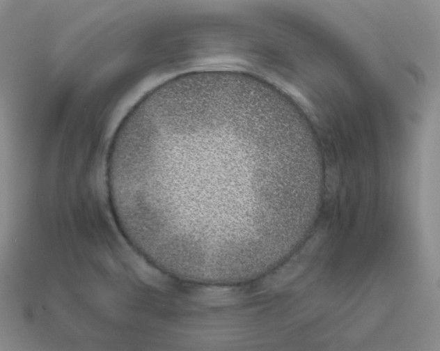 X0000113331470200910051136