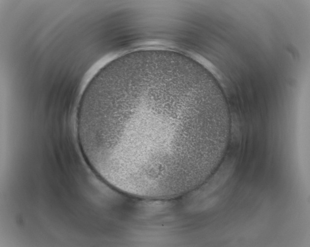 X0000113331474200910051136