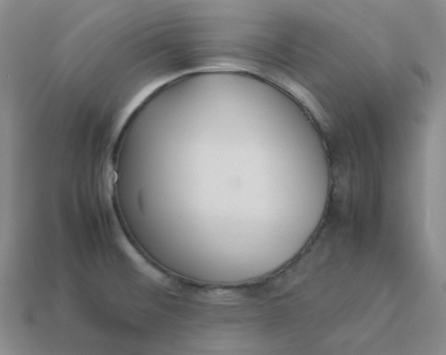 X0000113331476200910051136