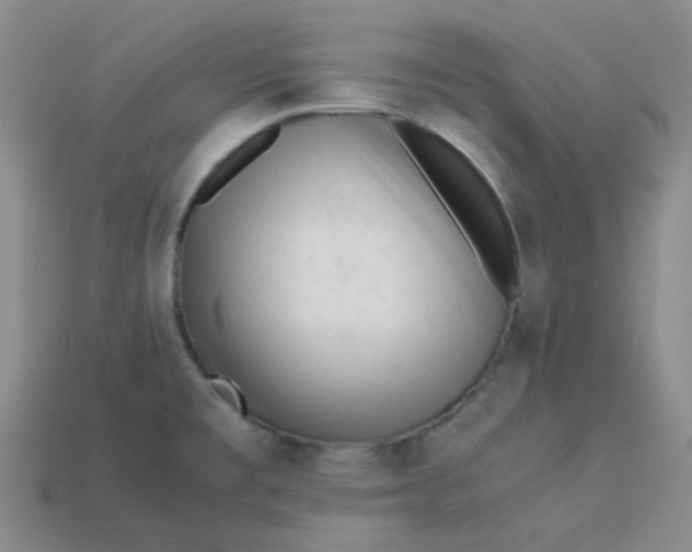 X0000113331477200910051136