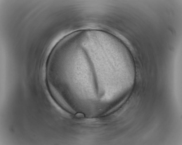 X0000113331479200910051136