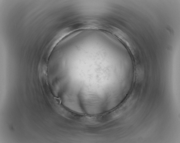 X0000113331481200910051136