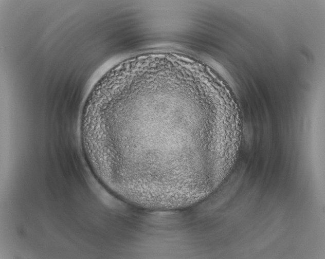X0000113331482200910051136
