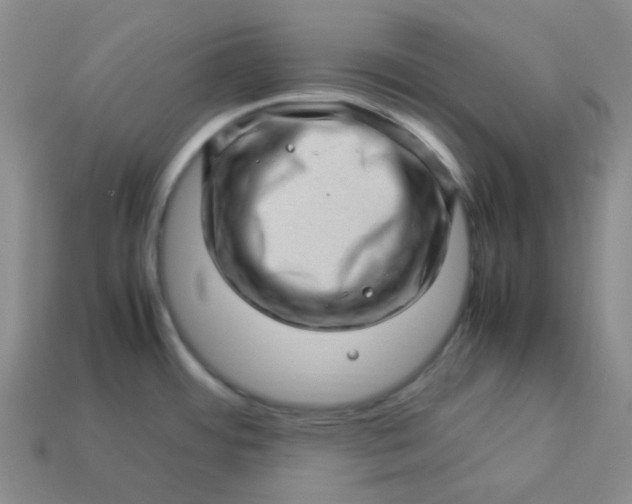 X0000113331484200910051136