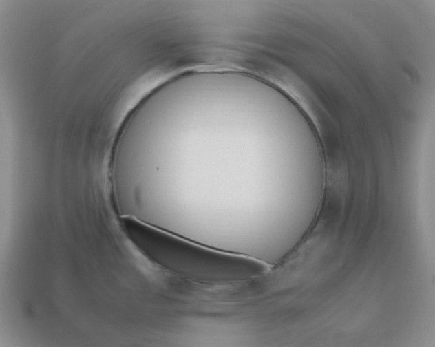 X0000113331485200910051136