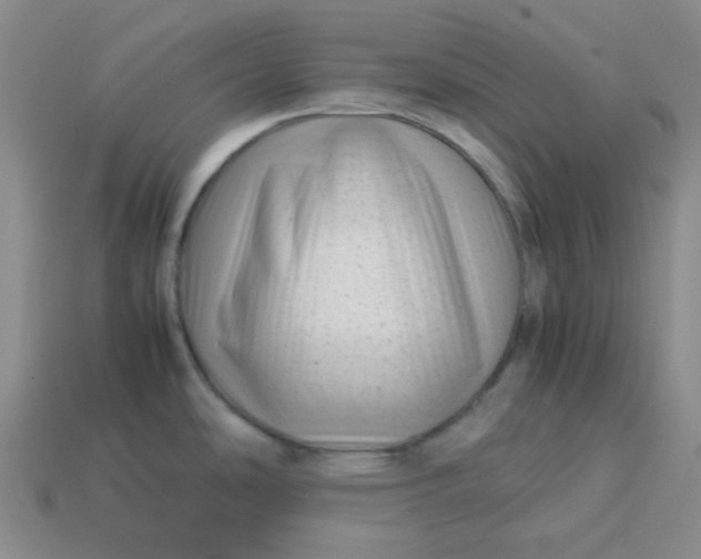 X0000113331486200910051136