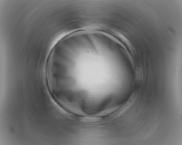 X0000113331487200910051136