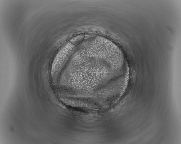 X0000113331489200910051135