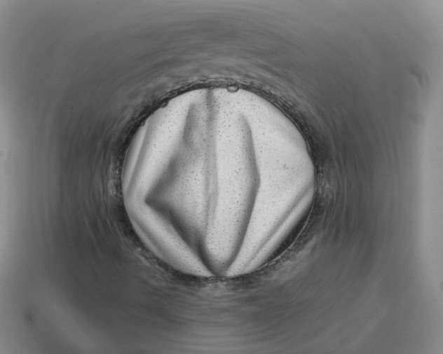 X0000113331490200910051135