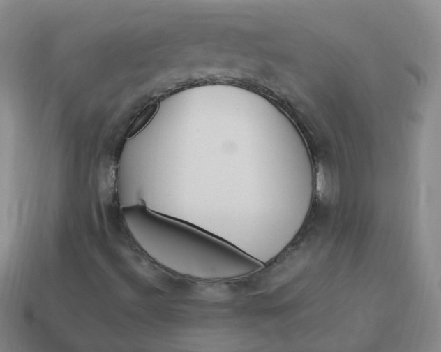 X0000113331492200910051135