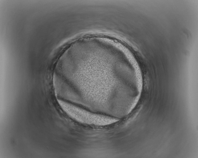 X0000113331494200910051135