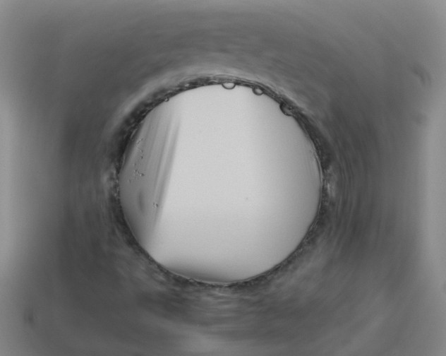 X0000113331495200910051135