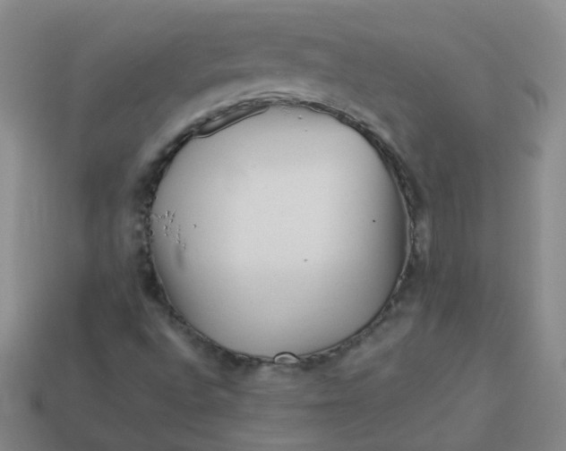 X0000113331496200910051135