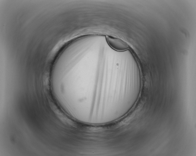 X0000113331499200910051135