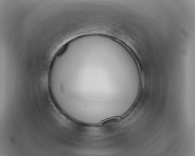 X0000113331500200910051135