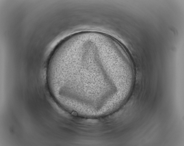 X0000113331503200910051135