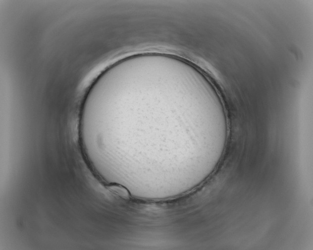 X0000113331504200910051135