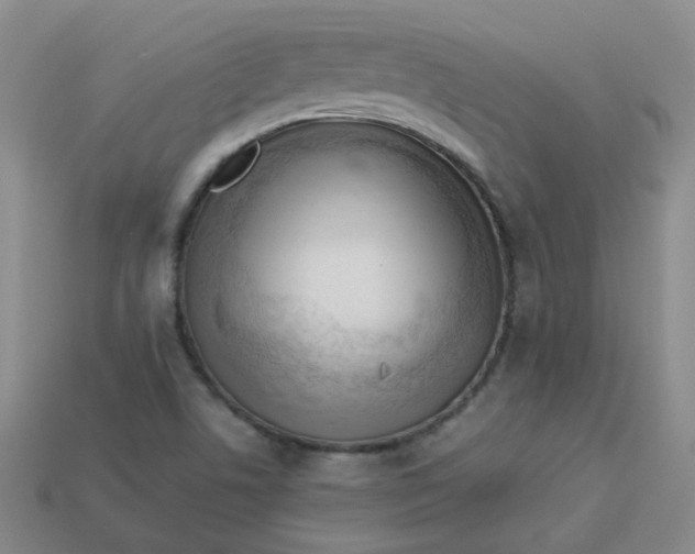 X0000113331506200910051135