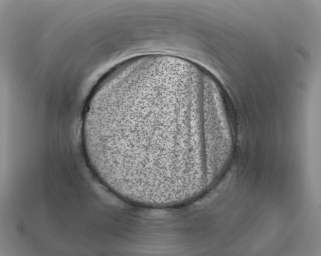 X0000113331507200910051135