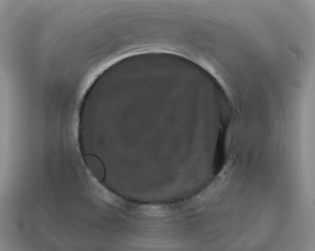 X0000113331508200910051135