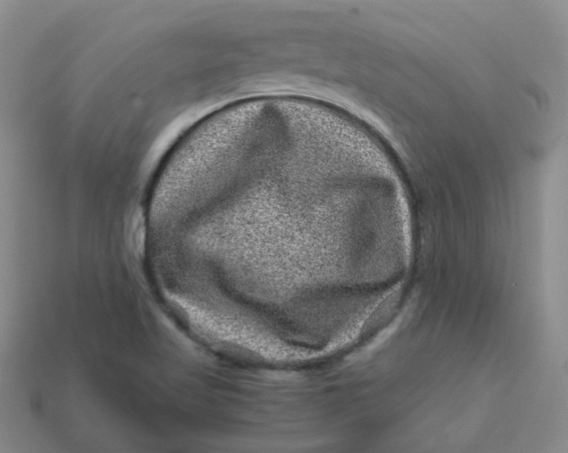 X0000113331509200910051135