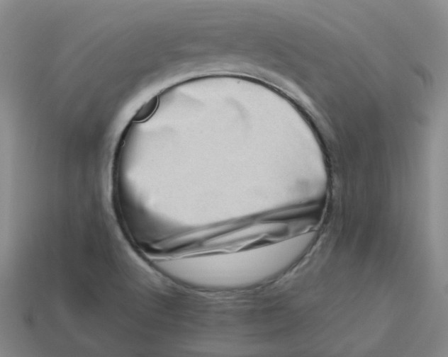 X0000113331512200910051135