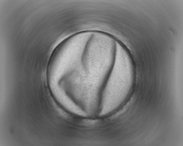 X0000113331513200910051135