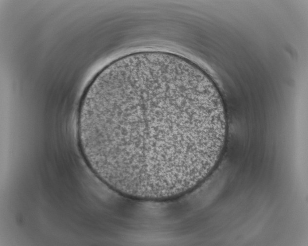 X0000113331514200910051135