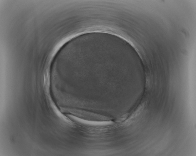 X0000113331515200910051135